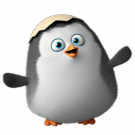 Avatar de Usuario